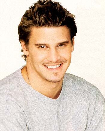 David Patrick Boreanaz